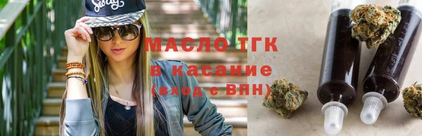 крисы Кулебаки