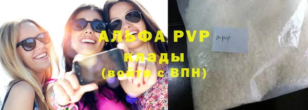 крисы Кулебаки