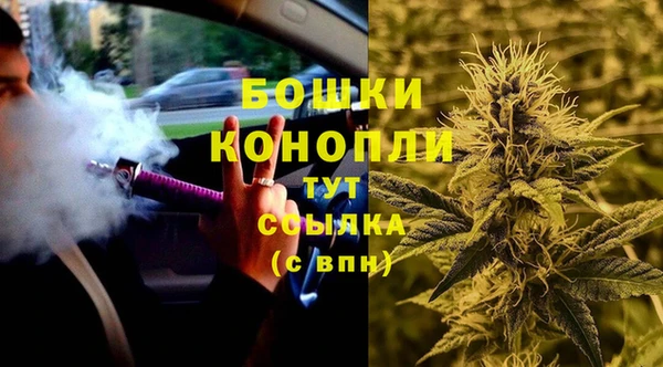 крисы Кулебаки