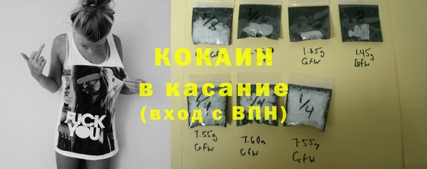 крисы Кулебаки