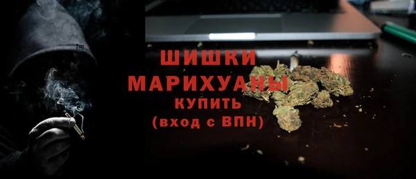 крисы Кулебаки