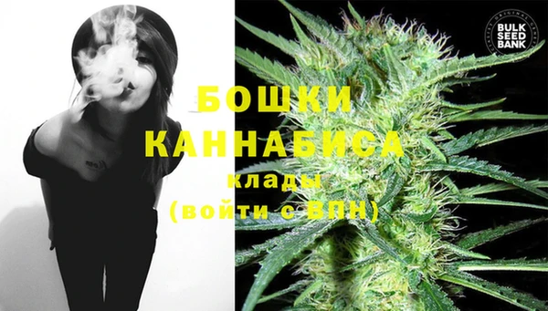 крисы Кулебаки