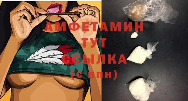 крисы Кулебаки