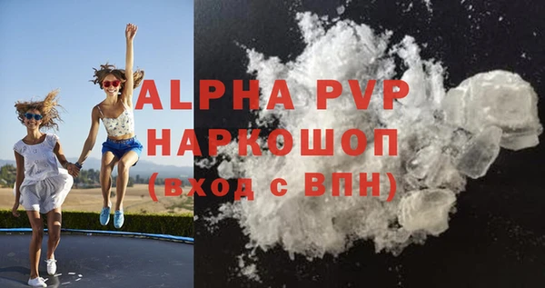 крисы Кулебаки