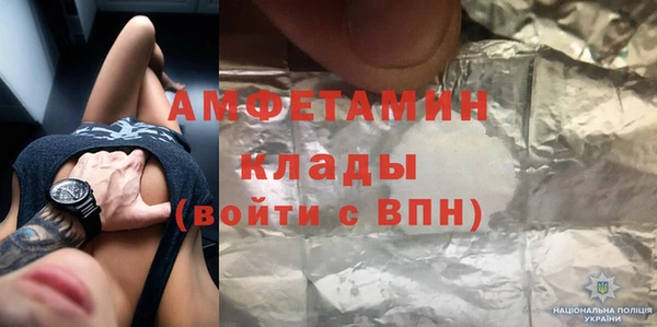 крисы Кулебаки