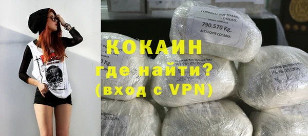крисы Кулебаки