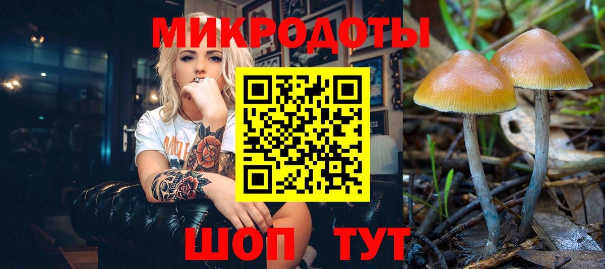 Ростов-на-Дону  Галлюциногенные грибы мухоморы  Псилоцибиновые грибы Psilocybe  Вход с VPN 