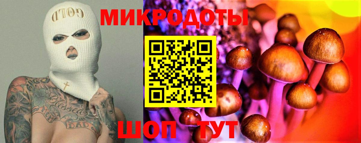 Псилоцибиновые грибы Psilocybe Ростов-на-Дону